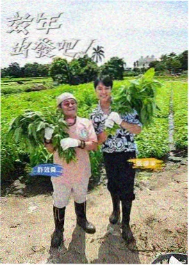 逐页复盘记录卡封面缩略